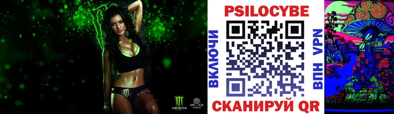 Псилоцибиновые грибы Psilocybe  Георгиевск 