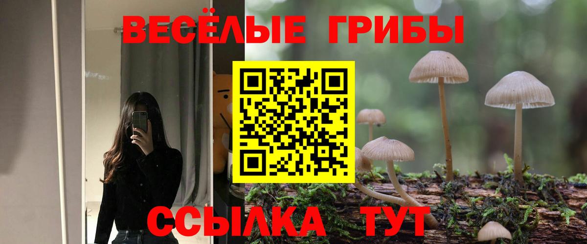 Георгиевск  Галлюциногенные грибы мухоморы  Вход с VPN  Галлюциногенные грибы MAGIC MUSHROOMS 