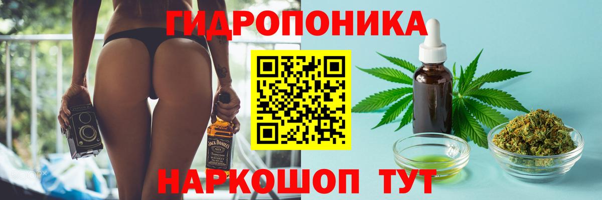 Марихуана планчик  Канабис White Widow  Бошки марихуана VHQ  Вход с VPN  Георгиевск 
